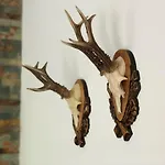 Apartment Am Holzmeisterweg 31 