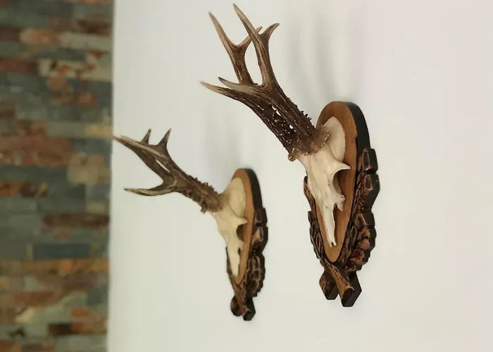 شقة Am Holzmeisterweg 31 