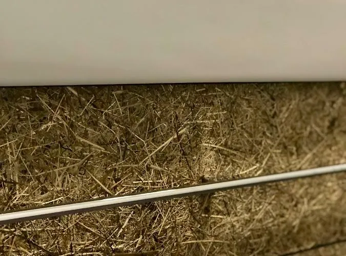 Am Holzmeisterweg 31 